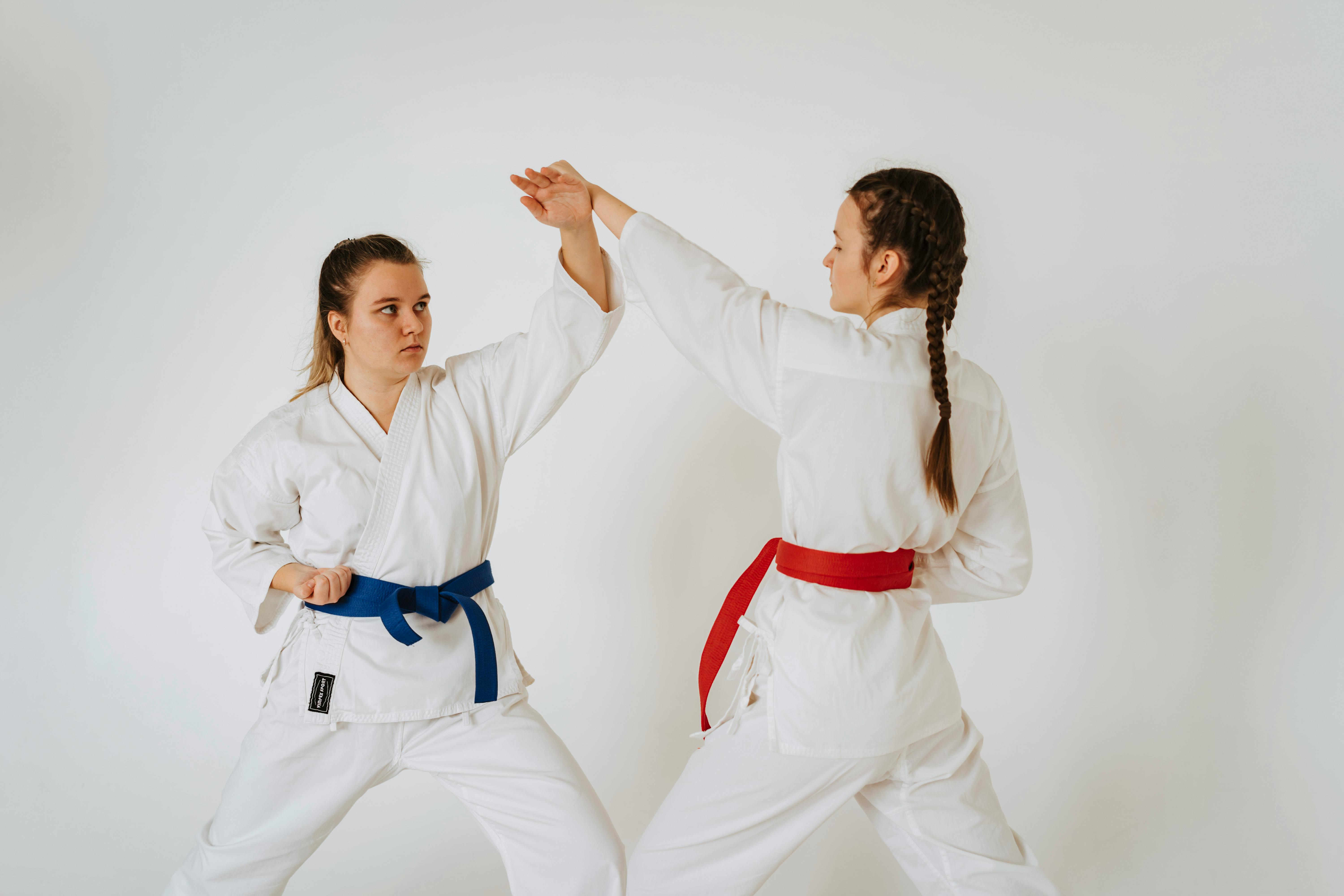 Martial arts fitness training